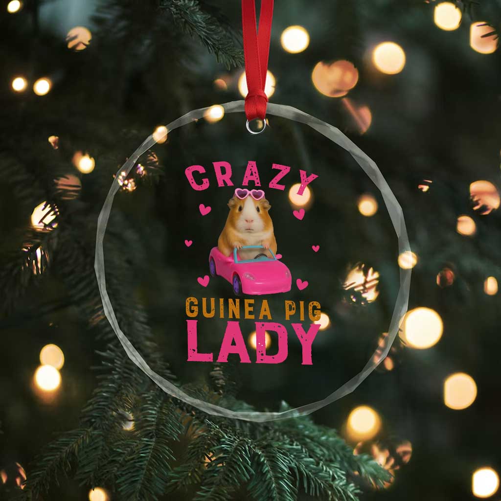 Crazy Guinea Pig Lady Crystal Glass Ornament Funny Pet Lover Gift TS12 Print Your Wear