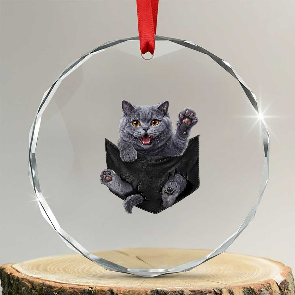 Cute British Shorthair Cat In Pocket Crystal Glass Ornament Cat Lover TS12 Transparent Glass 3'' Circle Print Your Wear