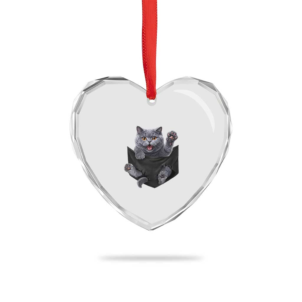 Cute British Shorthair Cat In Pocket Heart Crystal Glass Ornament Cat Lover TS12 Print Your Wear