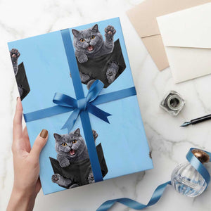 Cute British Shorthair Cat In Pocket Wrapping Paper Roll Cat Lover TS12 Light Blue Print Your Wear