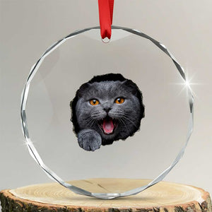 Cute British Shorthair Cat Peeking Through Cracked Wall Crystal Glass Ornament TS12 Transparent Glass 3'' Circle Print Your Wear
