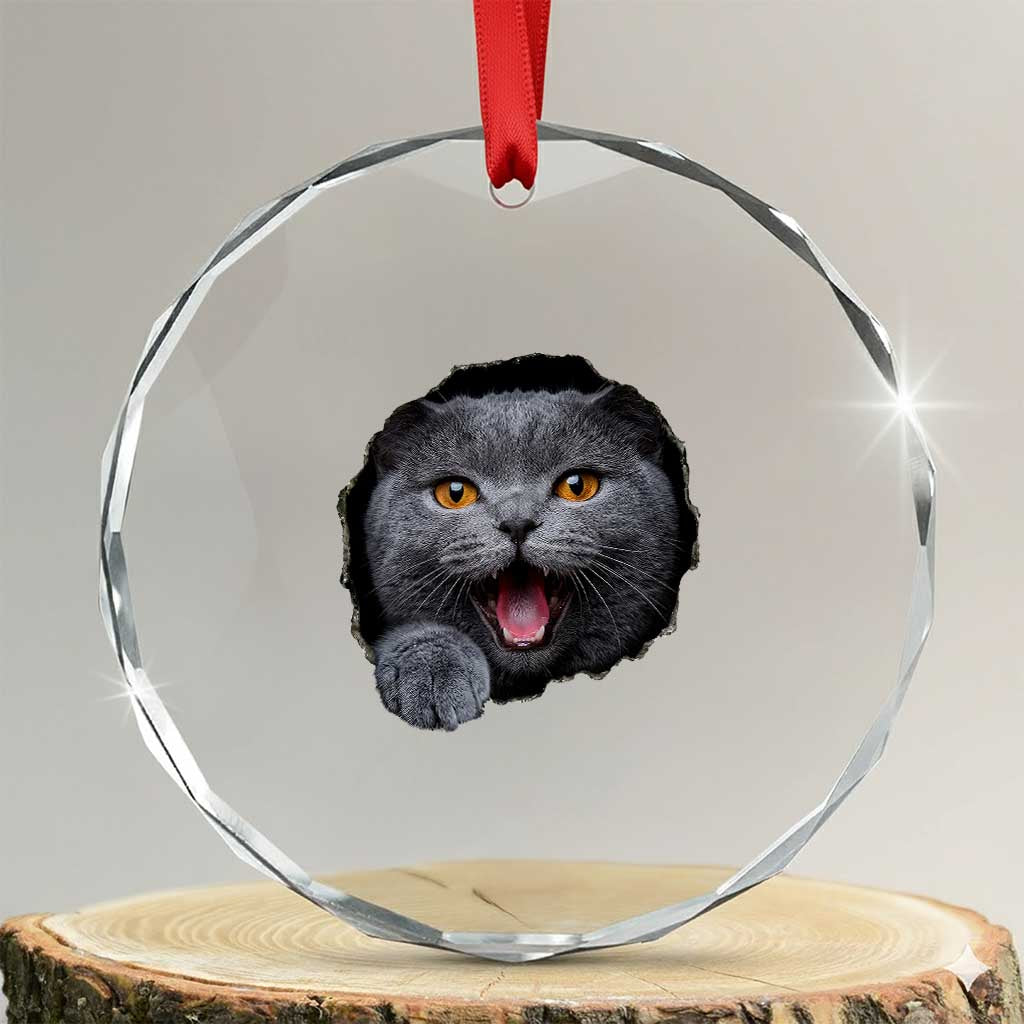 Cute British Shorthair Cat Peeking Through Cracked Wall Crystal Glass Ornament TS12 Transparent Glass 3'' Circle Print Your Wear
