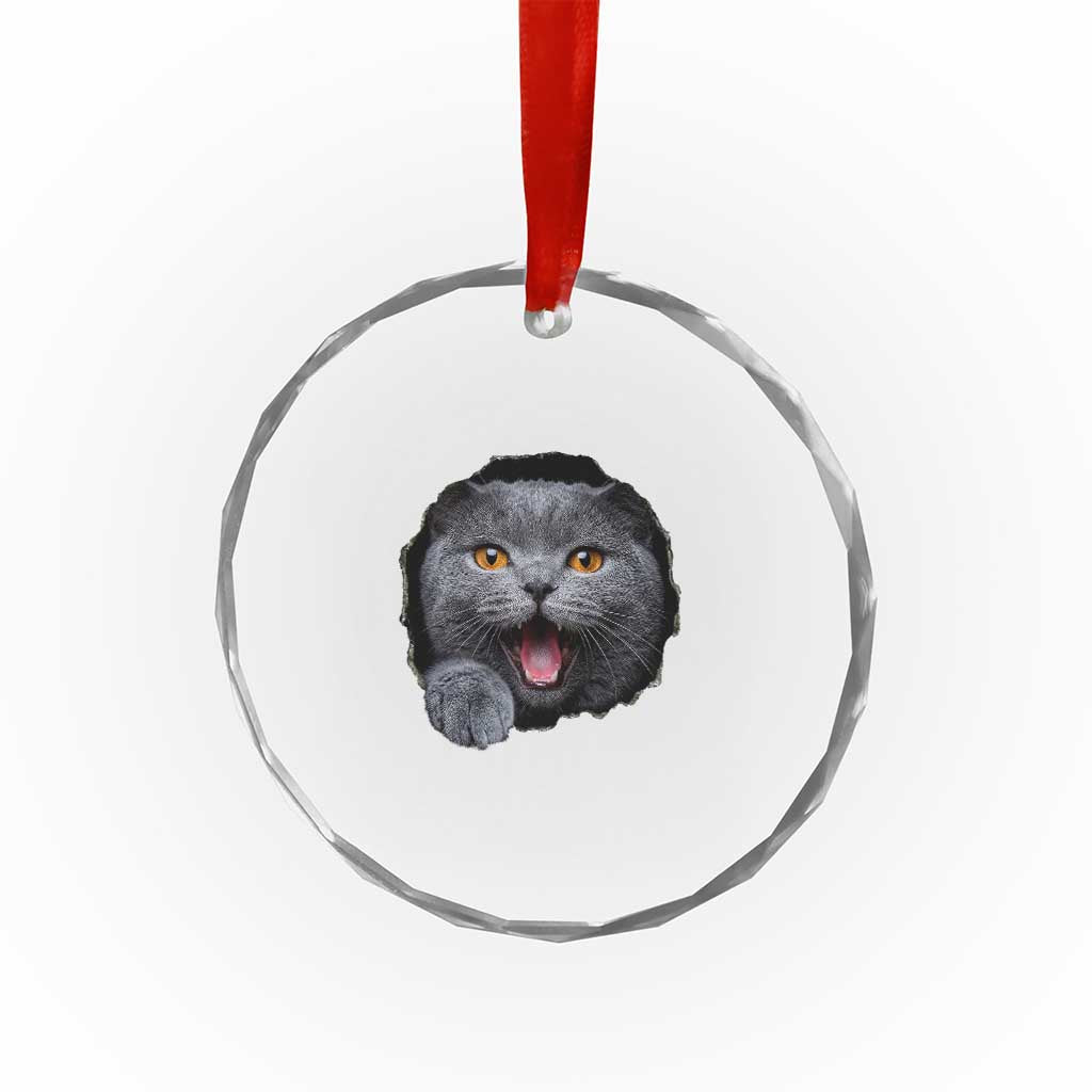 Cute British Shorthair Cat Peeking Through Cracked Wall Crystal Glass Ornament TS12 Print Your Wear