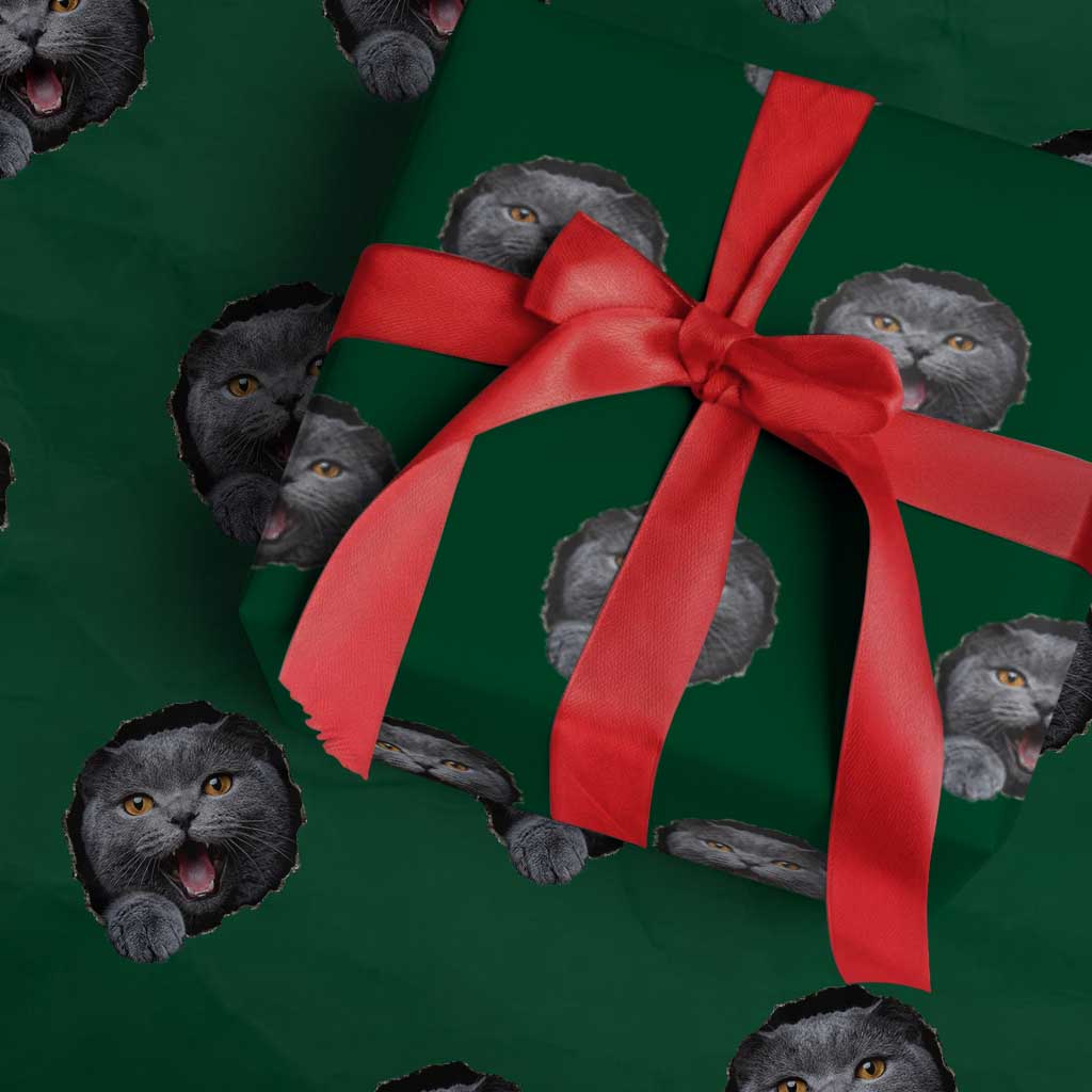 Cute British Shorthair Cat Peeking Through Cracked Wall Wrapping Paper Roll TS12 Green Print Your Wear
