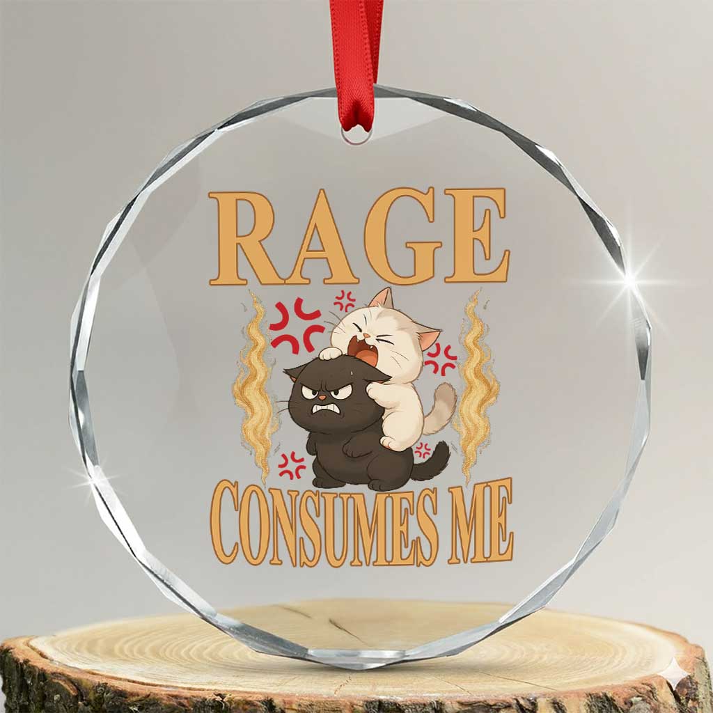 Cute Cat Crystal Glass Ornament Rage Is Consuming Me TS12 Transparent Glass 3'' Circle Print Your Wear