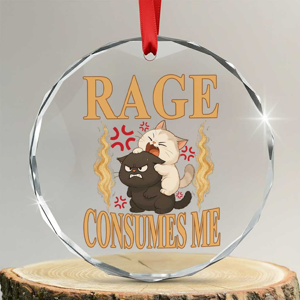 Cute Cat Crystal Glass Ornament Rage Is Consuming Me TS12 Transparent Glass 3'' Circle Print Your Wear