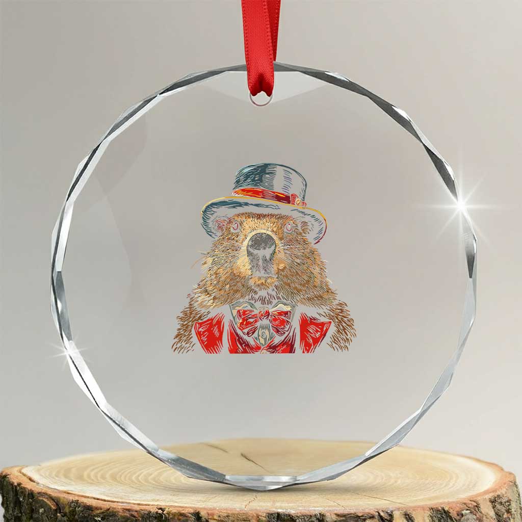 Cute Groundhog Crystal Glass Ornament Woodchuck Day Animal Lover TS02 Transparent Glass 3'' Circle Print Your Wear
