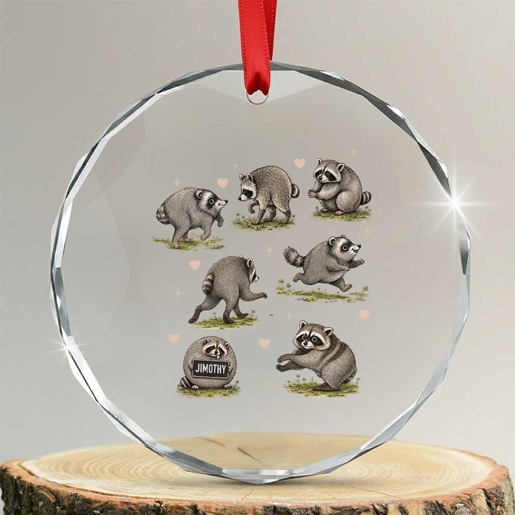 Cute Jimothy The Raccoon Crystal Glass Ornament Viral Seattle Wildlife Trash Panda Gift TS12 Transparent Glass 3'' Circle Print Your Wear