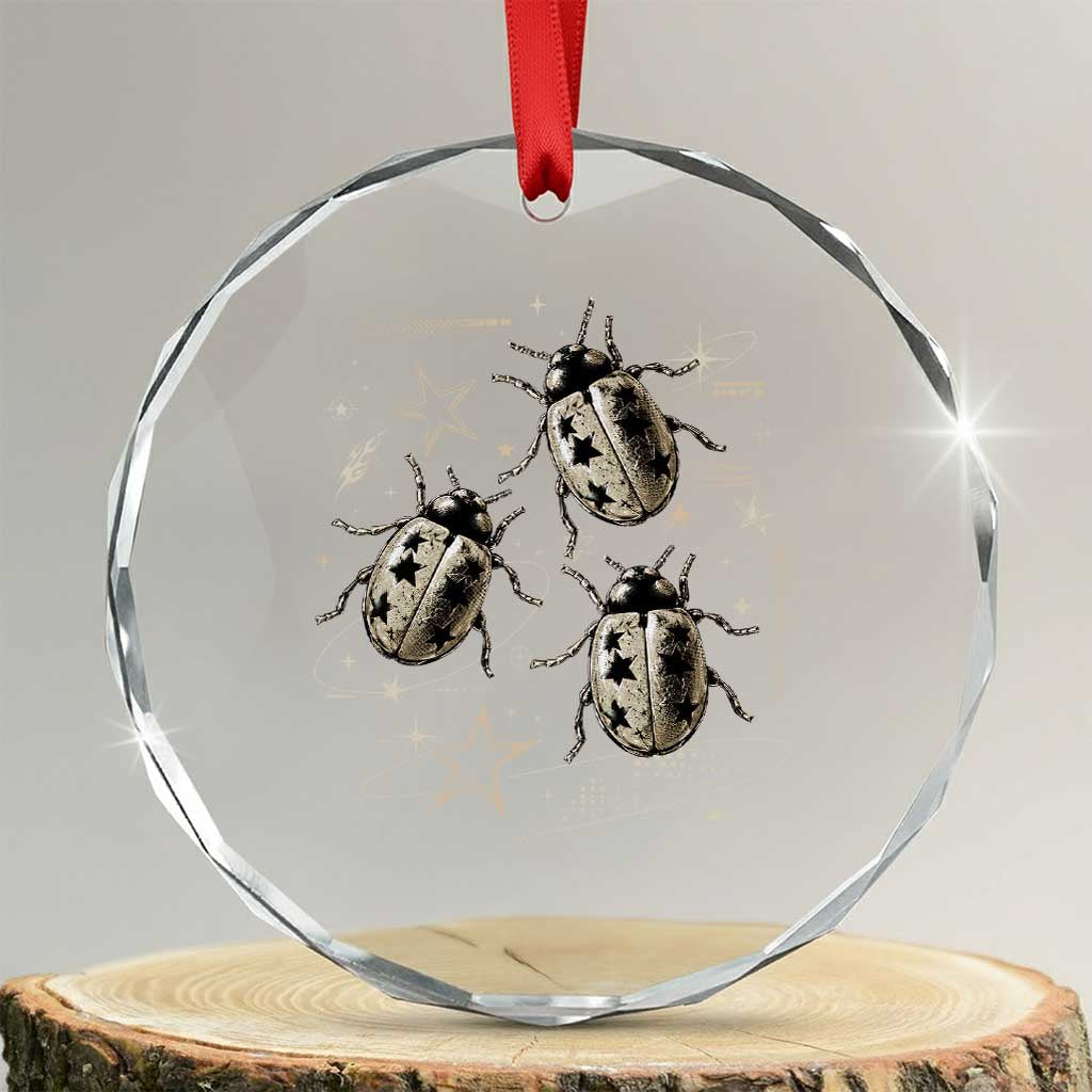 Cute Ladybug Y2k Grunge 2000s Alt 90s Vintage Star Dots Teen Crystal Glass Ornament TS10 Transparent Glass 3'' Circle Print Your Wear