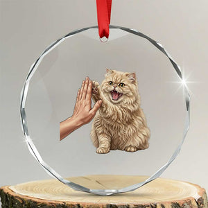 Cute Persian Cat High Five Crystal Glass Ornament Cat Lover TS12 Transparent Glass 3'' Circle Print Your Wear
