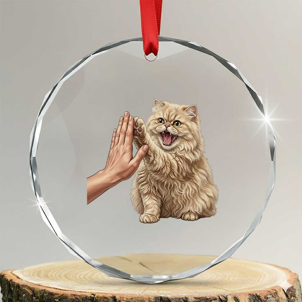 Cute Persian Cat High Five Crystal Glass Ornament Cat Lover TS12 Transparent Glass 3'' Circle Print Your Wear