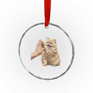 Cute Persian Cat High Five Crystal Glass Ornament Cat Lover TS12 Print Your Wear