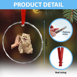 Cute Persian Cat High Five Crystal Glass Ornament Cat Lover TS12 Print Your Wear