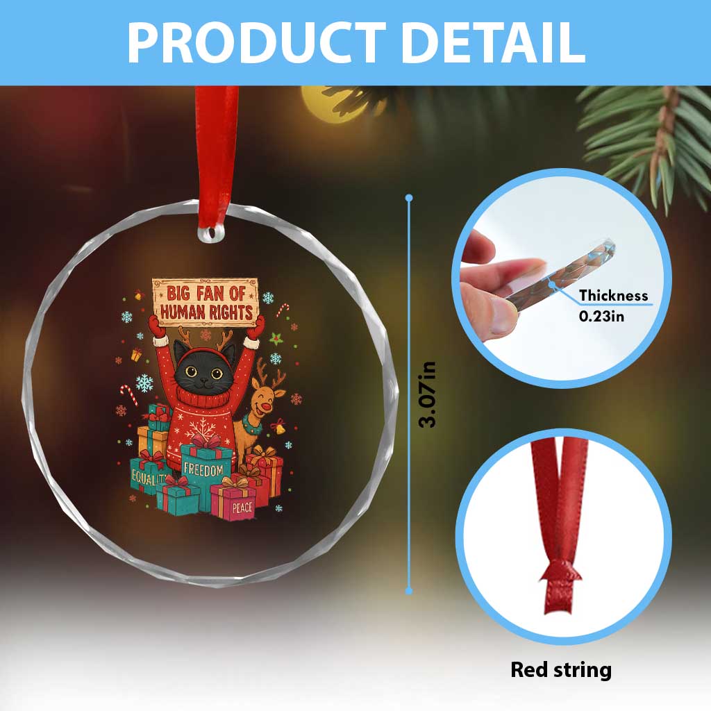 Cute Santa Cat Big Fan Of Human Rights Crystal Glass Ornament Christmas Supporters TS12 Print Your Wear