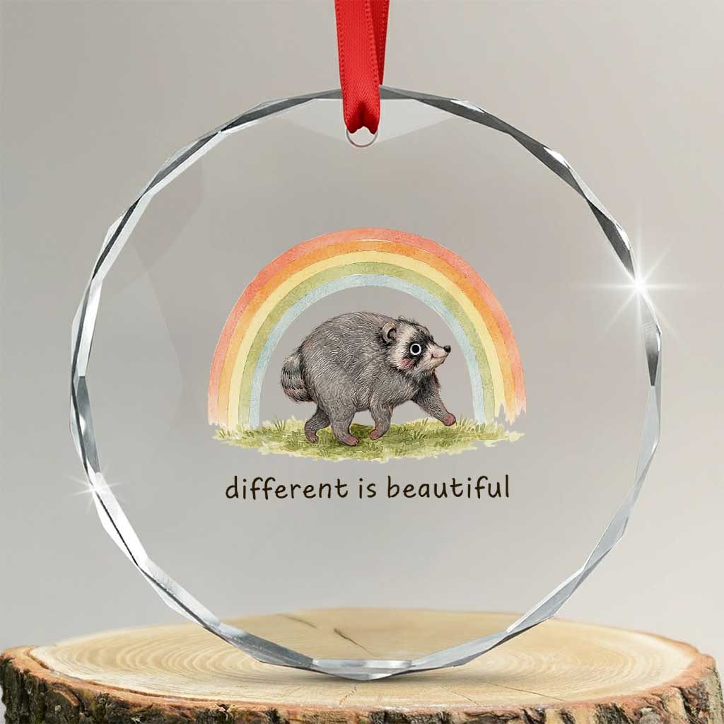 Cute Viral Raccoon Positive Quote Crystal Glass Ornament Different Is Beautiful Pastel Rainbow Graphic TS02 Transparent Glass 3'' Circle Print Your Wear