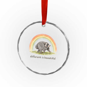 Cute Viral Raccoon Positive Quote Crystal Glass Ornament Different Is Beautiful Pastel Rainbow Graphic