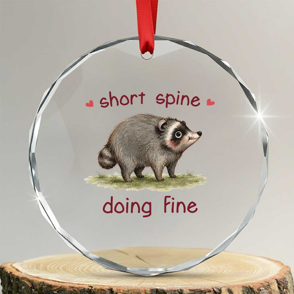Cute Watercolor Jimothy the Raccoon Inspirational Crystal Glass Ornament Short Spine Doing Fine Viral Seattle Trash Panda Supporter