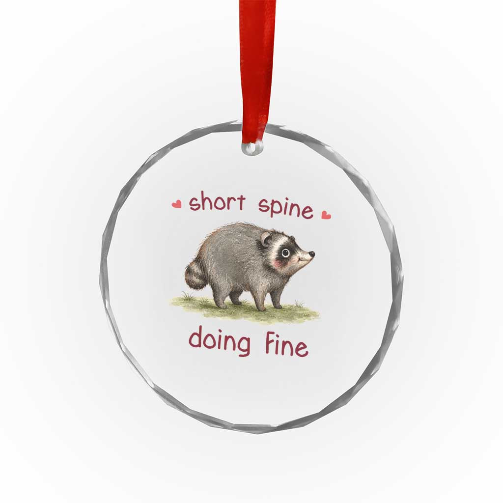 Cute Watercolor Jimothy the Raccoon Inspirational Crystal Glass Ornament Short Spine Doing Fine Viral Seattle Trash Panda Supporter