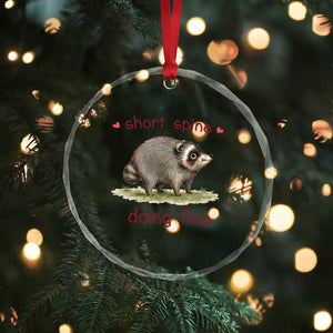 Cute Watercolor Jimothy the Raccoon Inspirational Crystal Glass Ornament Short Spine Doing Fine Viral Seattle Trash Panda Supporter