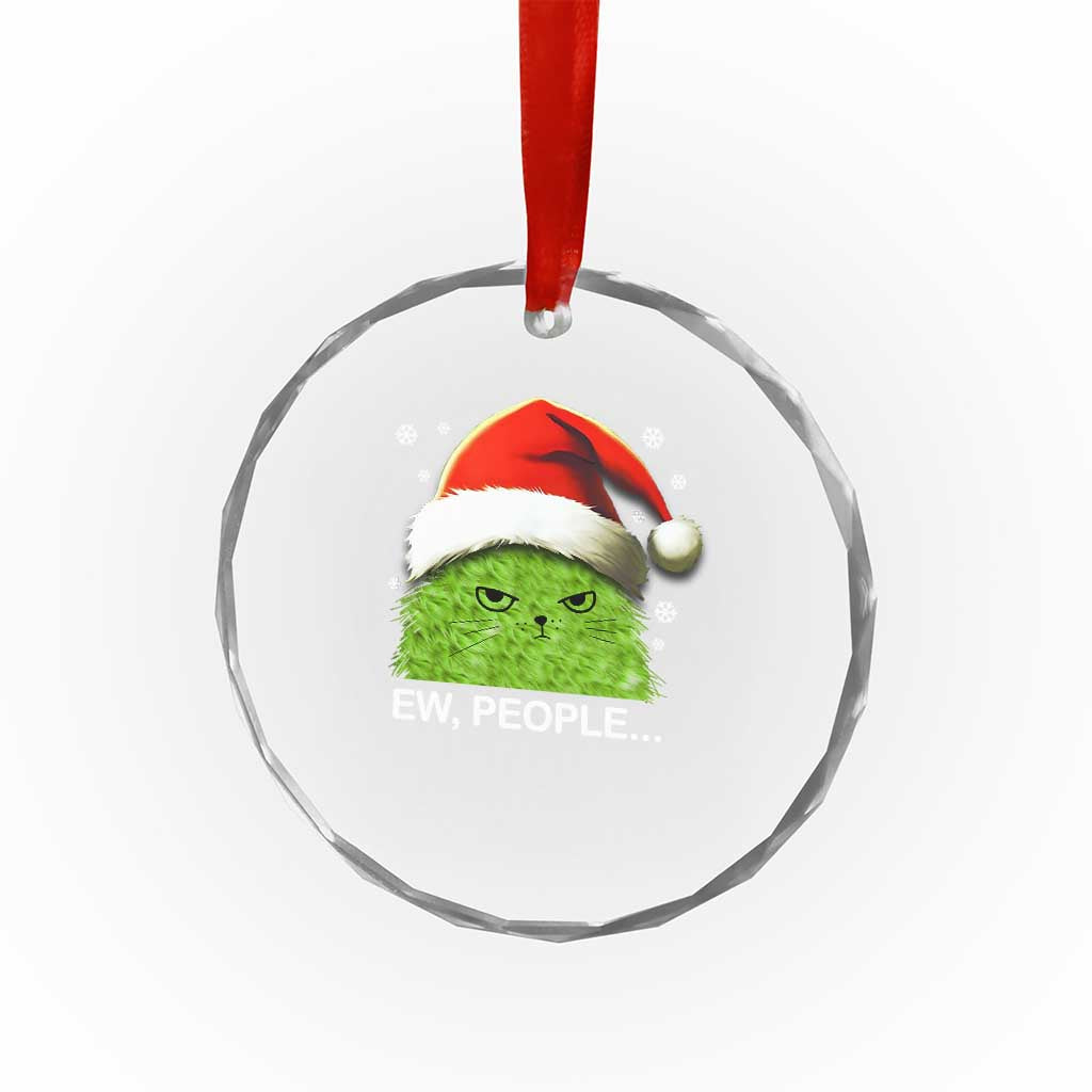 Cute Xmas Cat Crystal Glass Ornament Funny Ew People Meowy Kitten Lovers TS10 Print Your Wear
