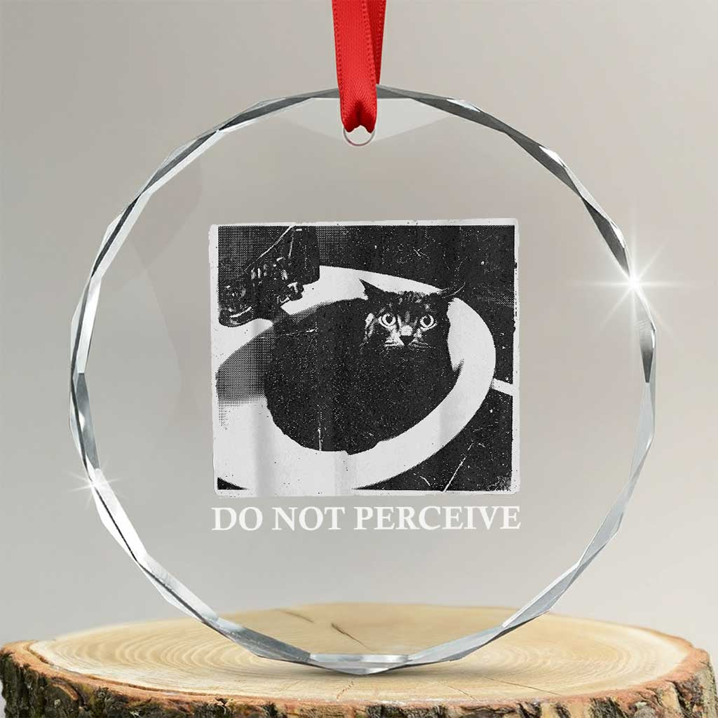 Do Not Perceive Me Funny Meme Cat Lover Crystal Glass Ornament Funny Cat Sarcstic Meme