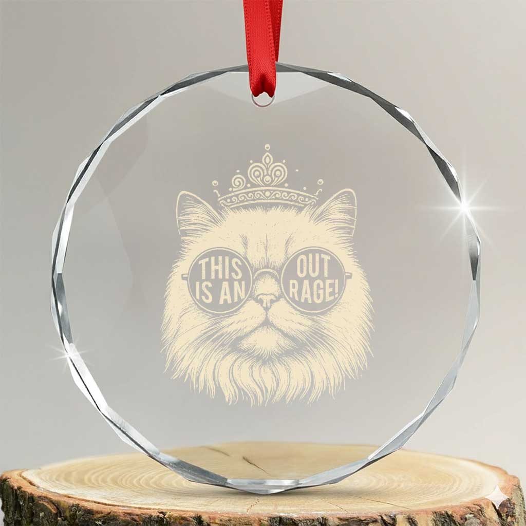 Dungeon Cat This Is An Outrage Crystal Glass Ornament Funny Princess Kitten TS11 Transparent Glass 3'' Circle Print Your Wear