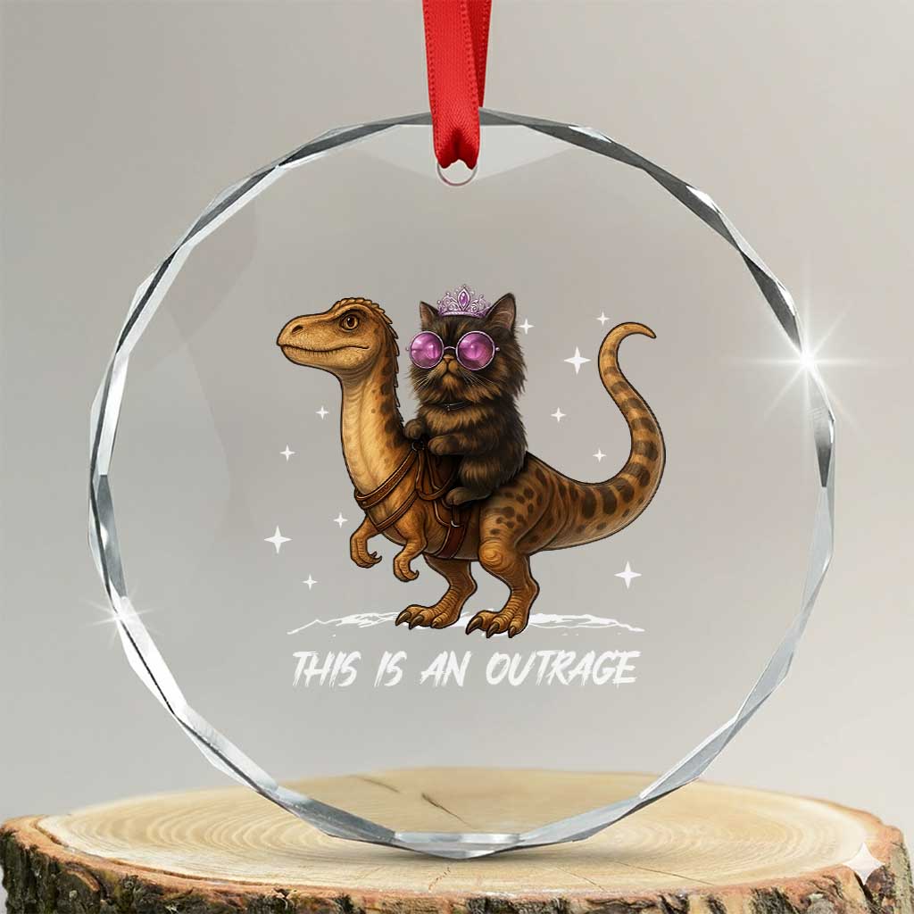 Dungeon Cat This Is An Outrage Crystal Glass Ornament Funny Princess Kitten Dinosaur TS11 Transparent Glass 3'' Circle Print Your Wear