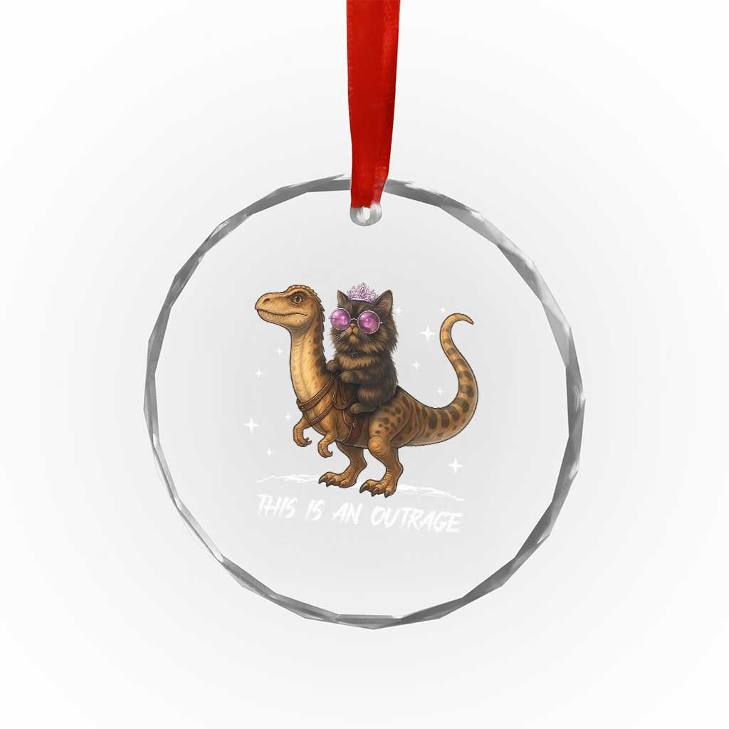 Dungeon Cat This Is An Outrage Crystal Glass Ornament Funny Princess Kitten Dinosaur TS11 Print Your Wear