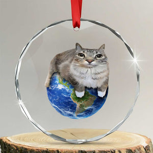 Earth Cat Silly Cat Meme Crystal Glass Ornament TS10 Transparent Glass 3'' Circle Print Your Wear
