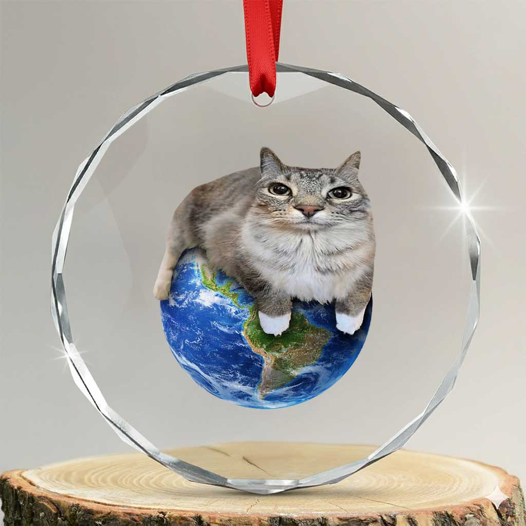 Earth Cat Silly Cat Meme Crystal Glass Ornament TS10 Transparent Glass 3'' Circle Print Your Wear