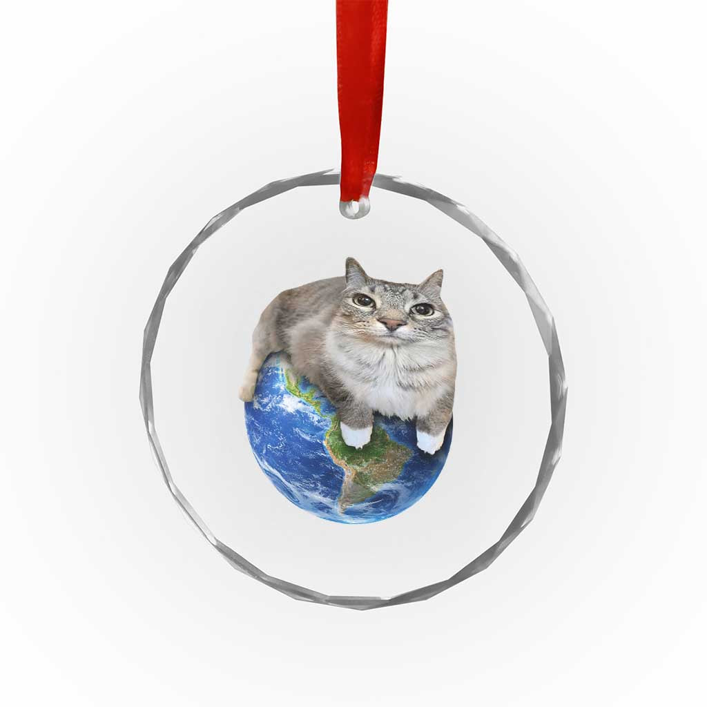 Earth Cat Silly Cat Meme Crystal Glass Ornament TS10 Print Your Wear