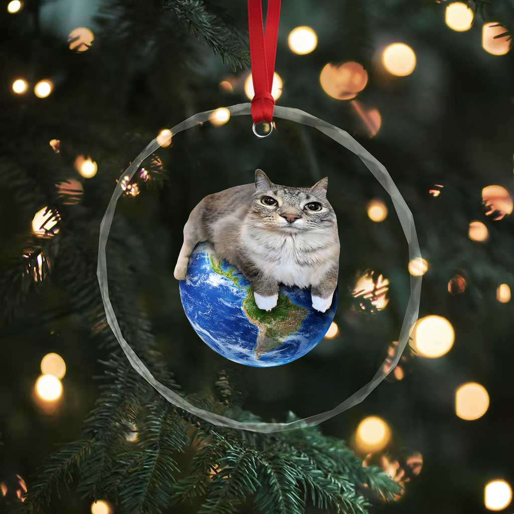 Earth Cat Silly Cat Meme Crystal Glass Ornament TS10 Print Your Wear