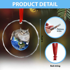Earth Cat Silly Cat Meme Crystal Glass Ornament TS10 Print Your Wear