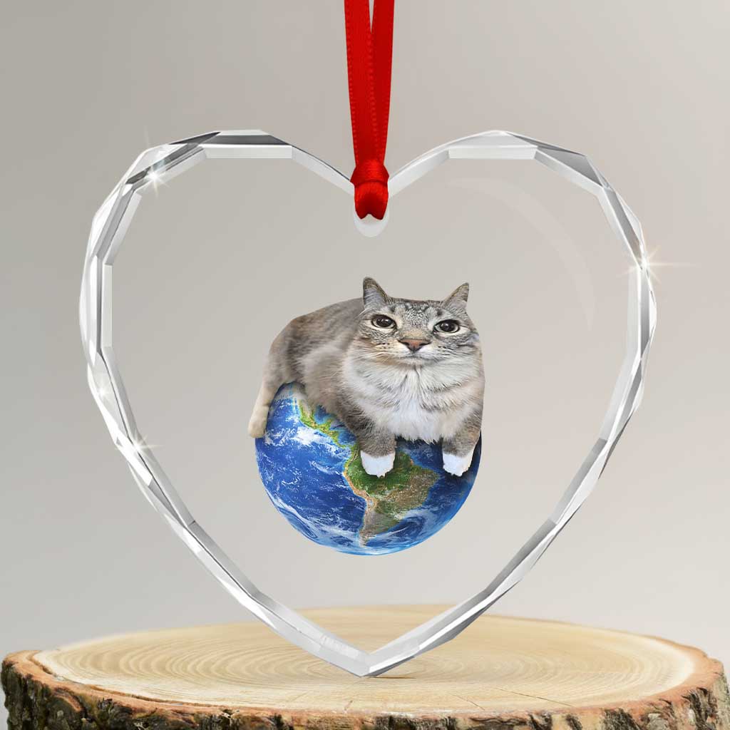 Earth Cat Silly Cat Meme Heart Crystal Glass Ornament TS10 Transparent Glass 3'' Heart Print Your Wear