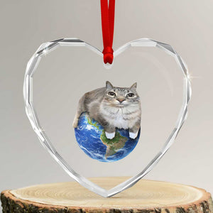 Earth Cat Silly Cat Meme Heart Crystal Glass Ornament TS10 Transparent Glass 3'' Heart Print Your Wear