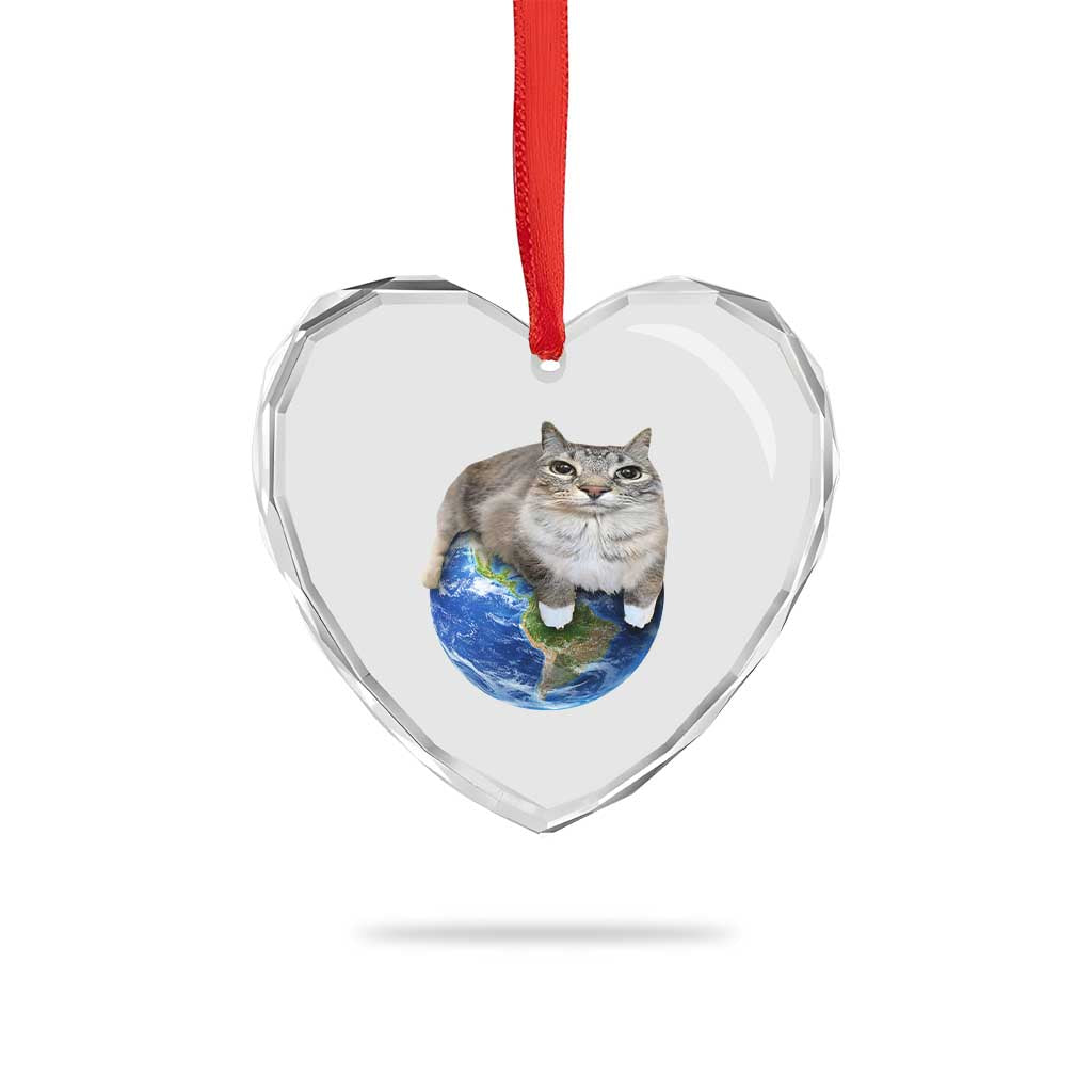 Earth Cat Silly Cat Meme Heart Crystal Glass Ornament TS10 Print Your Wear