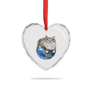 Earth Cat Silly Cat Meme Heart Crystal Glass Ornament TS10 Print Your Wear
