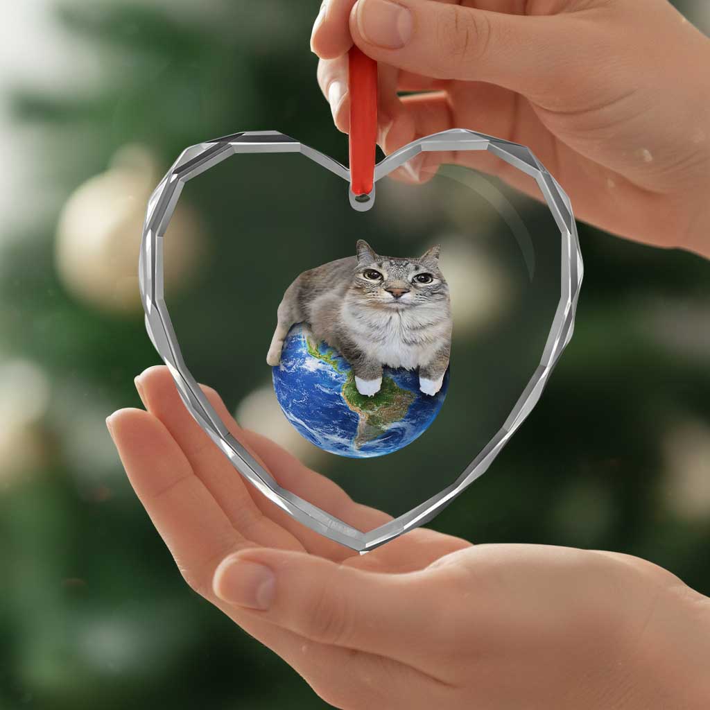 Earth Cat Silly Cat Meme Heart Crystal Glass Ornament TS10 Print Your Wear