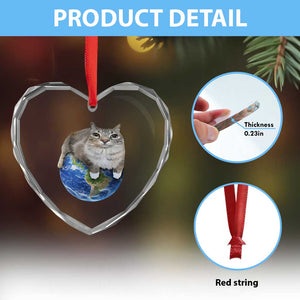 Earth Cat Silly Cat Meme Heart Crystal Glass Ornament TS10 Print Your Wear