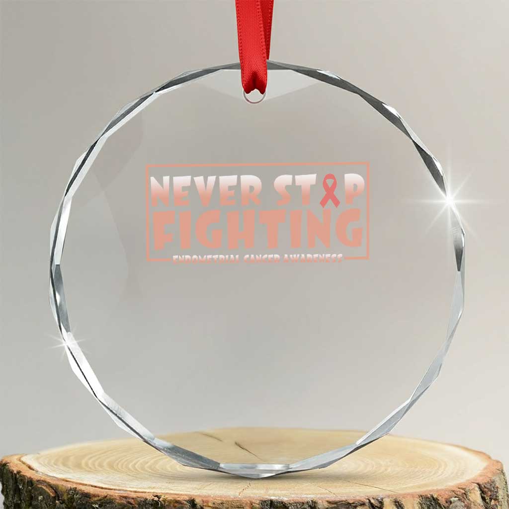 Endometrial Cancer Fighter Crystal Glass Ornament Never Stop Fighting Peach Ribbon TS12 Transparent Glass 3'' Circle Print Your Wear