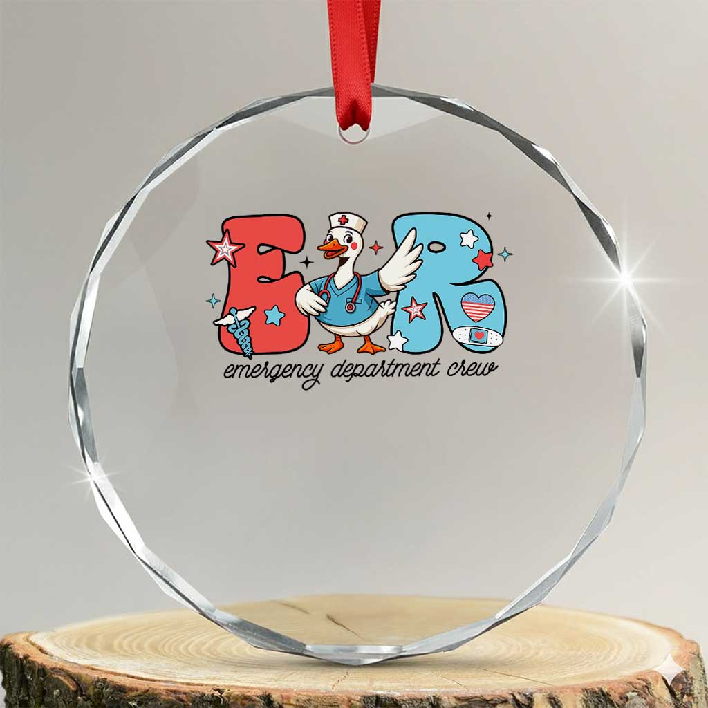 ER Nurse Silly Goose Crystal Glass Ornament Funny Emergency Department TS14 Transparent Glass 3'' Circle Print Your Wear