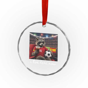Espana Spain Soccer Football Fan Spanish Flag Crystal Glass Ornament Funny Raccoon I Live Here Now TS14 Print Your Wear