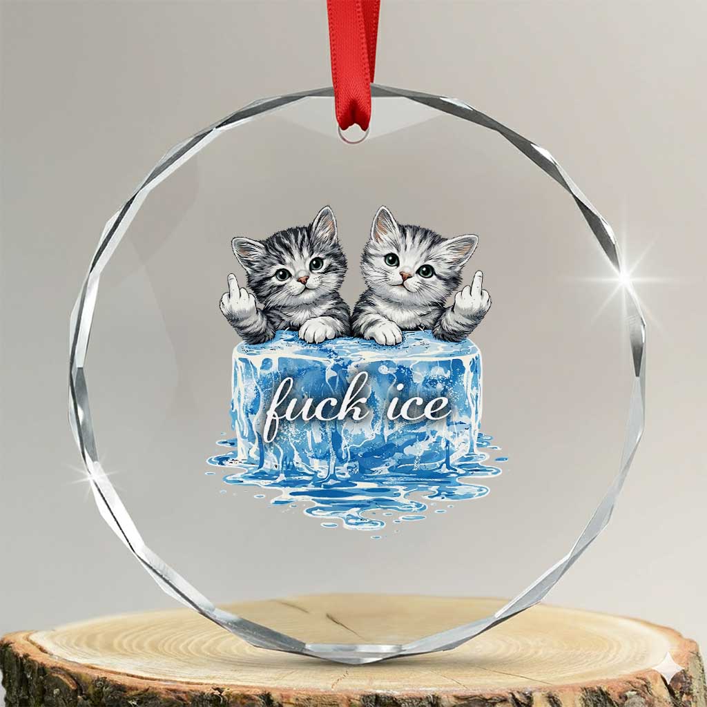 Fck Ice Crystal Glass Ornament Cute Cat Melting Ice Pro Immigrant TS11 Transparent Glass 3'' Circle Print Your Wear