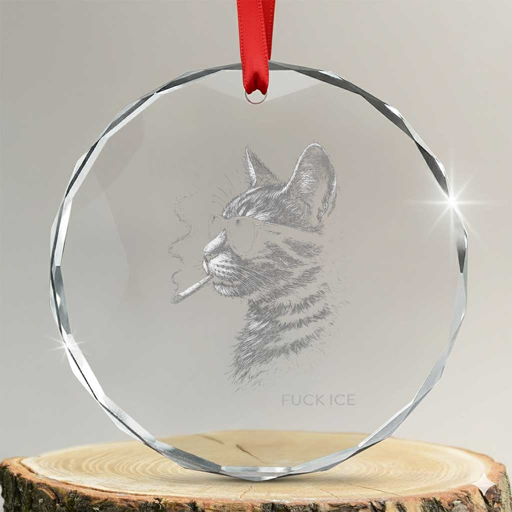 Fck Ice Crystal Glass Ornament Funny Cat Smoking Anti ICE Meme TS14 Transparent Glass 3'' Circle Print Your Wear