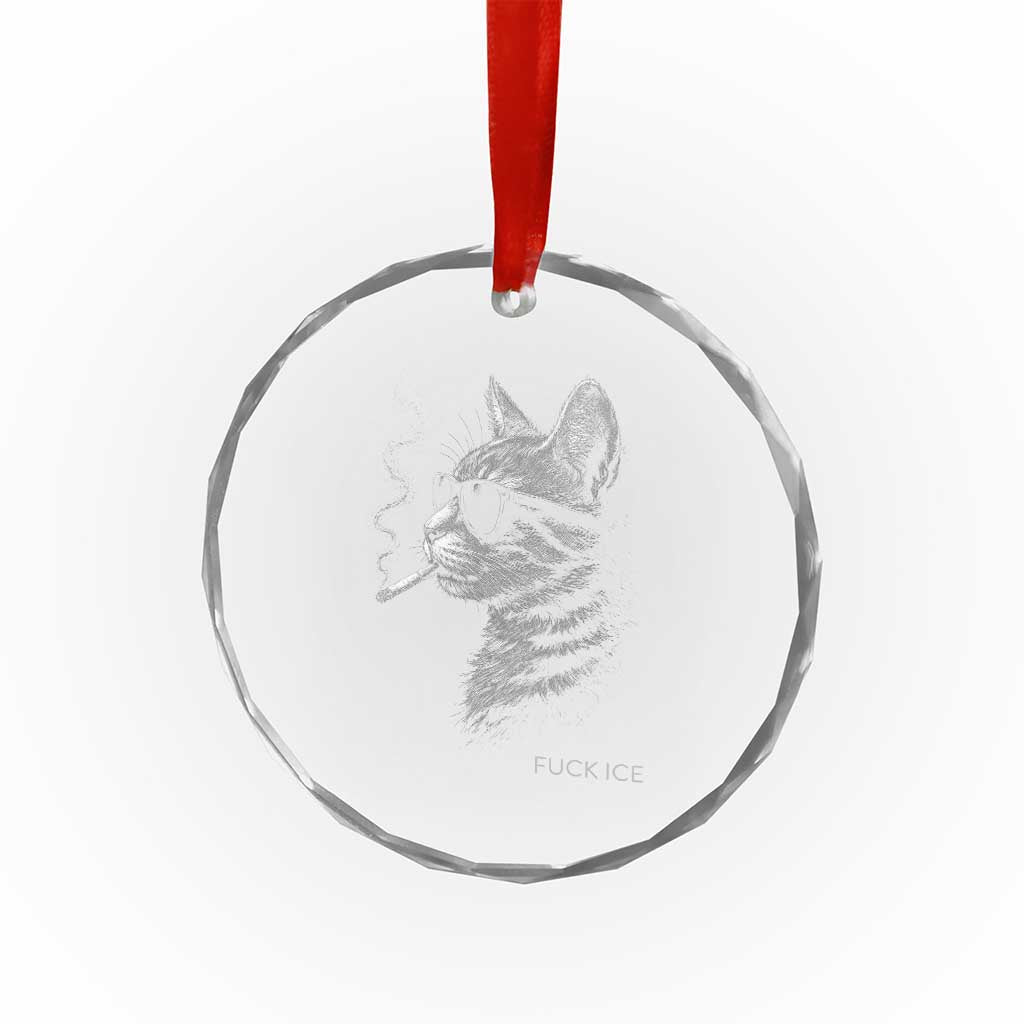 Fck Ice Crystal Glass Ornament Funny Cat Smoking Anti ICE Meme TS14 Print Your Wear