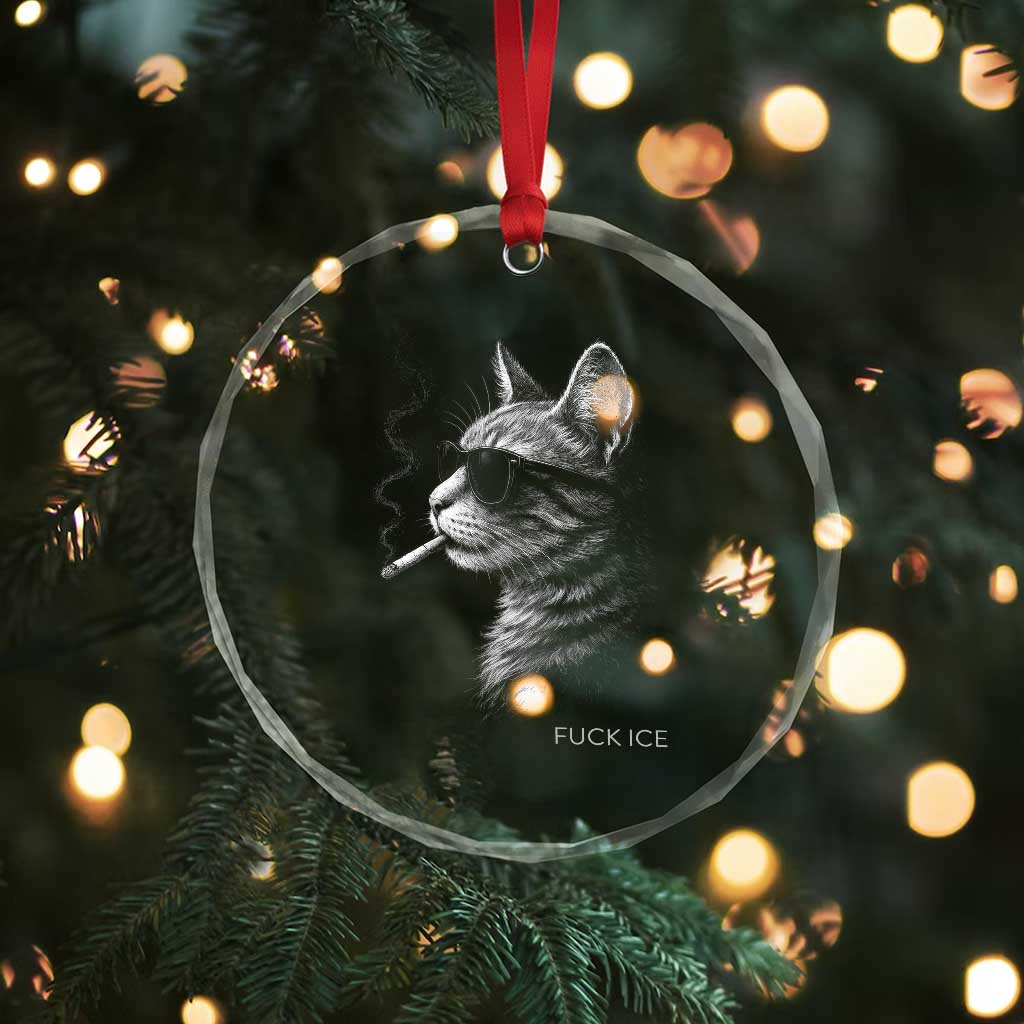 Fck Ice Crystal Glass Ornament Funny Cat Smoking Anti ICE Meme TS14 Print Your Wear