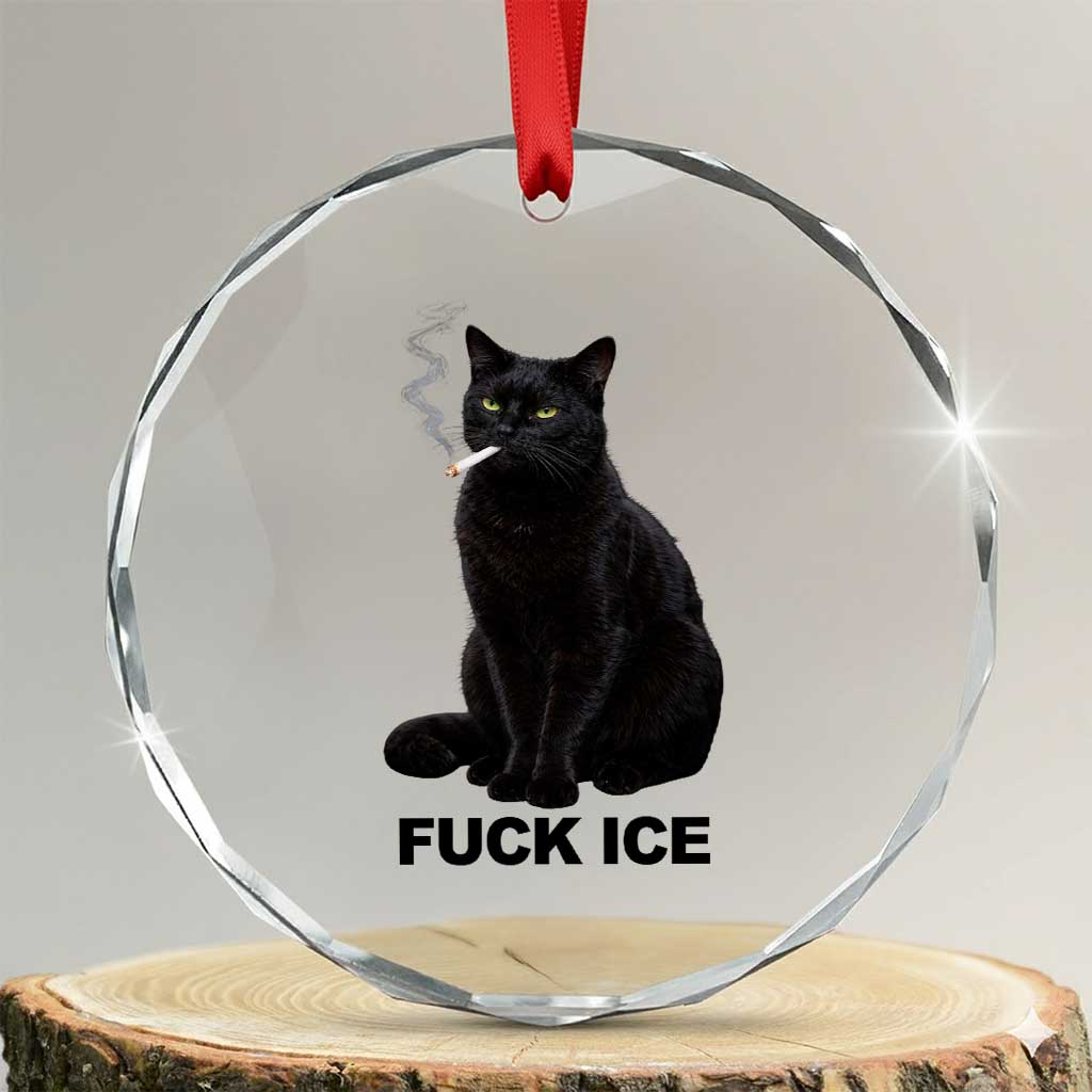 Fck Ice Smoking Cat Crystal Glass Ornament Subtle FDT Black Cat Meme TS10 Transparent Glass 3'' Circle Print Your Wear
