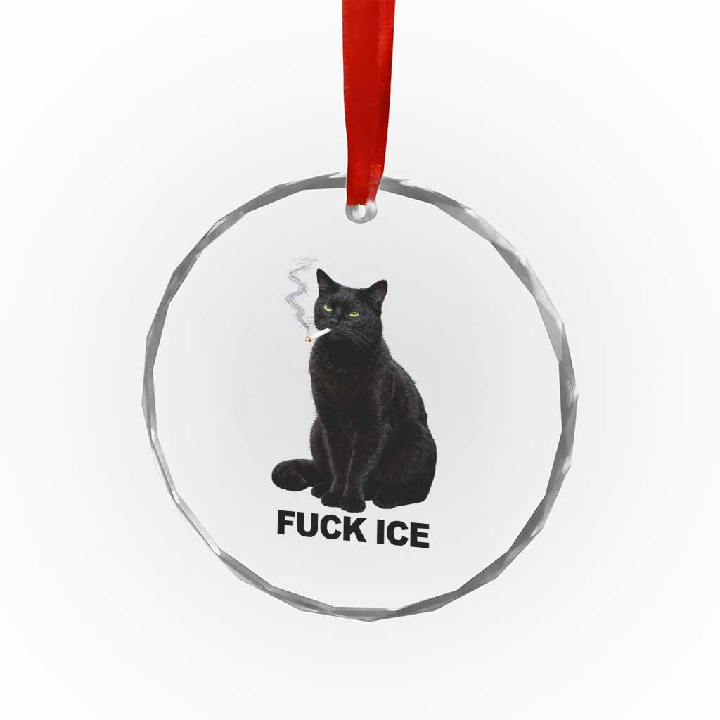 Fck Ice Smoking Cat Crystal Glass Ornament Subtle FDT Black Cat Meme TS10 Print Your Wear
