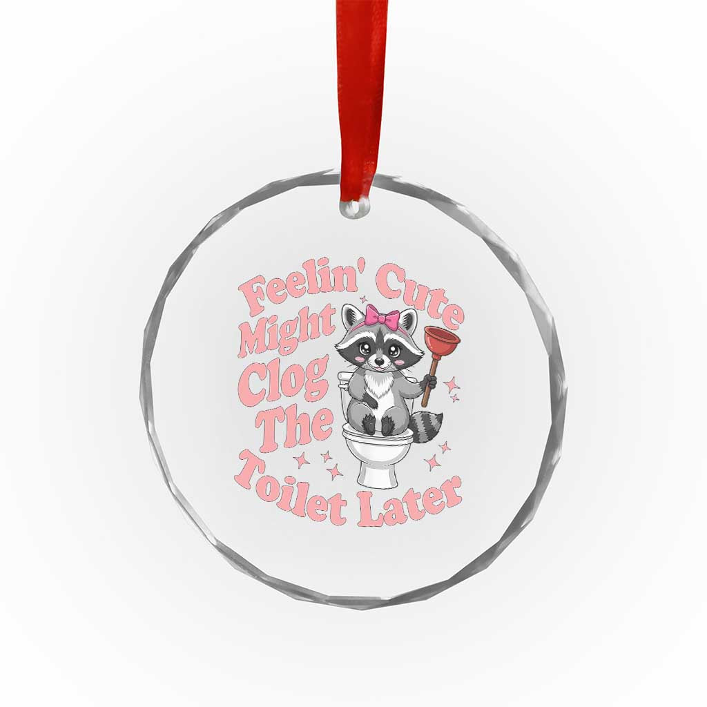 Feeling Cute Might Clog Toilet Later Crystal Glass Ornament Funny Raccoon TS12 Print Your Wear