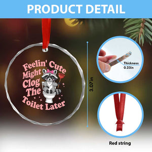 Feeling Cute Might Clog Toilet Later Crystal Glass Ornament Funny Raccoon TS12 Print Your Wear